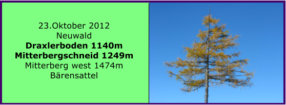 23.Oktober 2012 Neuwald Draxlerboden 1140m Mitterbergschneid 1249m  Mitterberg west 1474m Brensattel