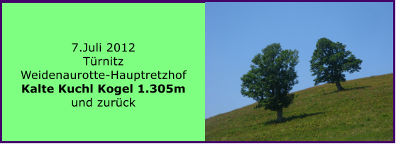 7.Juli 2012 Trnitz Weidenaurotte-Hauptretzhof Kalte Kuchl Kogel 1.305m und zurck