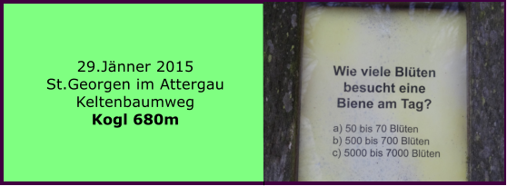 29.Jänner 2015 St.Georgen im Attergau Keltenbaumweg Kogl 680m