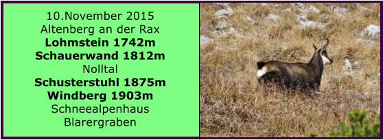 10.November 2015 Altenberg an der Rax Lohmstein 1742m Schauerwand 1812m Nolltal Schusterstuhl 1875m Windberg 1903m Schneealpenhaus Blarergraben