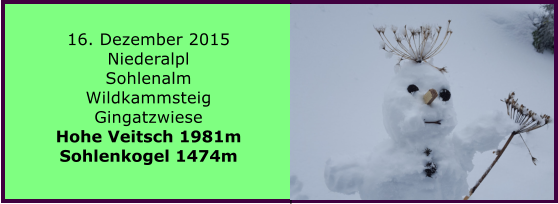 16. Dezember 2015 Niederalpl Sohlenalm Wildkammsteig Gingatzwiese Hohe Veitsch 1981m Sohlenkogel 1474m