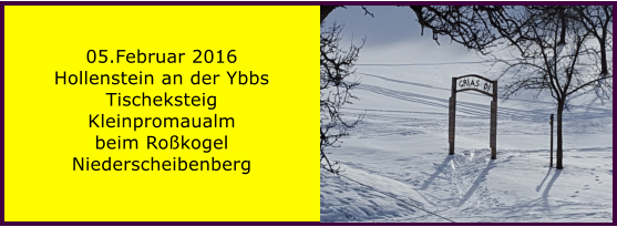 05.Februar 2016 Hollenstein an der Ybbs Tischeksteig  Kleinpromaualm beim Roßkogel Niederscheibenberg