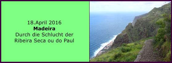 18.April 2016 Madeira Durch die Schlucht der Ribeira Seca ou do Paul