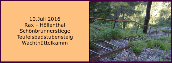 10.Juli 2016 Rax - Hllenthal Schnbrunnerstiege Teufelsbadstubensteig Wachthttelkamm