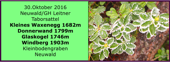 30.Oktober 2016 Neuwald/GH Leitner Taborsattel Kleines Waxenegg 1682m Donnerwand 1799m Glaskogel 1746m Windberg 1903m Kleinbodengraben Neuwald