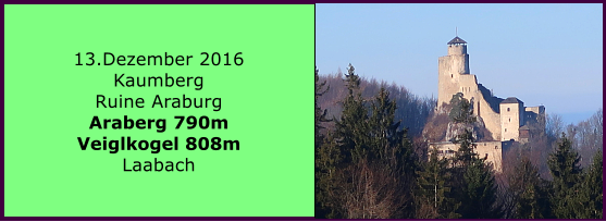 13.Dezember 2016 Kaumberg Ruine Araburg Araberg 790m Veiglkogel 808m Laabach