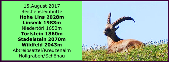 15.August 2017 Reichensteinhtte Hohe Lins 2028m Linseck 1983m Niedertrl 1652m Trlstein 1860m Stadelstein 2070m Wildfeld 2043m Abtreibsattel/Kreuzenalm Hllgraben/Schnau