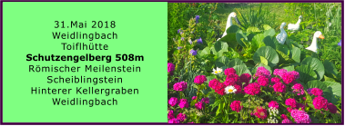 31.Mai 2018 Weidlingbach Toiflhütte Schutzengelberg 508m Römischer Meilenstein Scheiblingstein Hinterer Kellergraben Weidlingbach