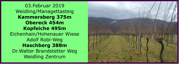 03.Februar 2019 Weidling/Managettasteig Kammersberg 375m Obereck 454m Kopfeiche 495m Eichenhain/Hohenauer Wiese Adolf Robl-Weg Haschberg 388m Dr.Walter Brandstetter Weg Weidling Zentrum