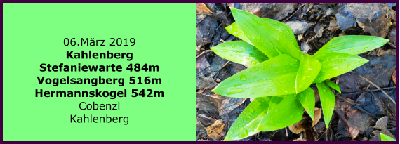 06.Mrz 2019 Kahlenberg Stefaniewarte 484m Vogelsangberg 516m Hermannskogel 542m Cobenzl Kahlenberg