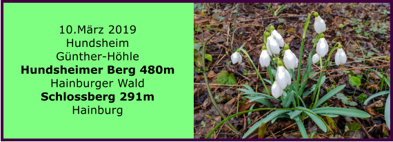 10.Mrz 2019 Hundsheim Gnther-Hhle Hundsheimer Berg 480m Hainburger Wald Schlossberg 291m Hainburg