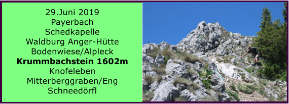 29.Juni 2019 Payerbach Schedkapelle Waldburg Anger-Htte Bodenwiese/Alpleck Krummbachstein 1602m Knofeleben Mitterberggraben/Eng Schneedrfl