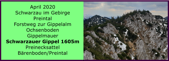 April 2020 Schwarzau im Gebirge Preintal Forstweg zur Gippelalm Ochsenboden  Gippelmauer Schwarzauer Gippel 1605m Preinecksattel Brenboden/Preintal