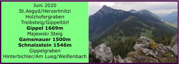 Juni 2020 St.Aegyd/Herzerlmitzi Holzhofergraben Treibsteig/Gippeltrl Gippel 1669m Majewski Steig Gamsmauer 1500m Schnalzstein 1546m Gippelgraben Hinterbichler/Am Lueg/Weienbach