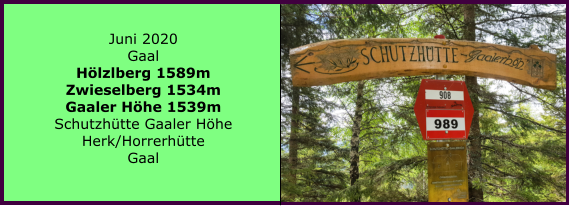 Juni 2020 Gaal Hölzlberg 1589m Zwieselberg 1534m Gaaler Höhe 1539m Schutzhütte Gaaler Höhe Herk/Horrerhütte Gaal