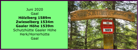 Juni 2020 Gaal Hlzlberg 1589m Zwieselberg 1534m Gaaler Hhe 1539m Schutzhtte Gaaler Hhe Herk/Horrerhtte Gaal