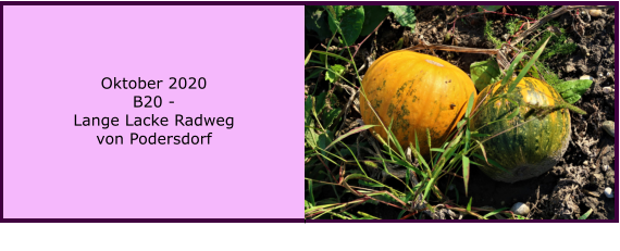 Oktober 2020 B20 -  Lange Lacke Radweg von Podersdorf