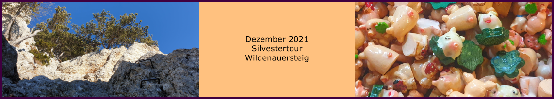 Ranach 80   Ranach 80    Dezember 2021 Silvestertour Wildenauersteig