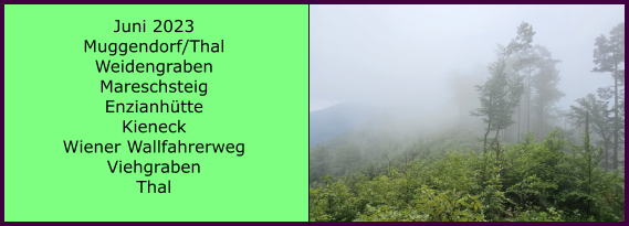 BERICHT  FOLGT Ranach 80   Ranach 80   Juni 2023 Muggendorf/Thal Weidengraben Mareschsteig Enzianhtte Kieneck Wiener Wallfahrerweg Viehgraben Thal