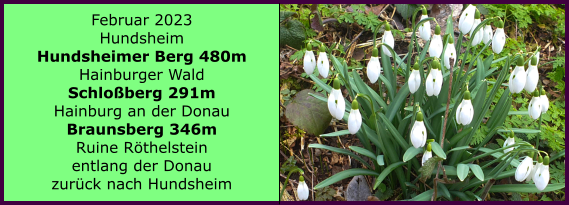 Ranach 80   Ranach 80   Februar 2023 Hundsheim Hundsheimer Berg 480m Hainburger Wald Schloberg 291m Hainburg an der Donau Braunsberg 346m Ruine Rthelstein entlang der Donau  zurck nach Hundsheim