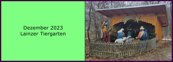 BERICHT  FOLGT BERICHT  FOLGT Ranach 80   Ranach 80   Dezember 2023 Lainzer Tiergarten