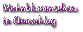 Mohnblumenschau in Armschlag