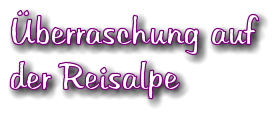 berraschung auf der Reisalpe