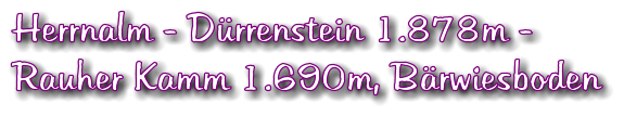 Herrnalm - Dürrenstein 1.878m - Rauher Kamm 1.690m, Bärwiesboden