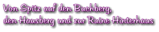 Von Spitz auf den Buchberg, den Hausberg und zur Ruine Hinterhaus