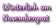 Winterlich am Novembergrat