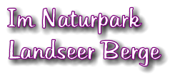 Im Naturpark Landseer Berge