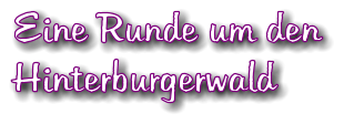 Eine Runde um den Hinterburgerwald