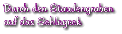 Durch den Staudengraben  auf das Schlageck