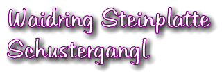 Waidring Steinplatte Schustergangl