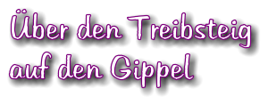 ber den Treibsteig auf den Gippel