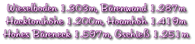 Wieselboden 1.303m, Bärenwand 1.287m Hacktonihöhe 1.200m, Hoamhöh 1.419m Hohes Bäreneck 1.597m, Gschieß 1.251m