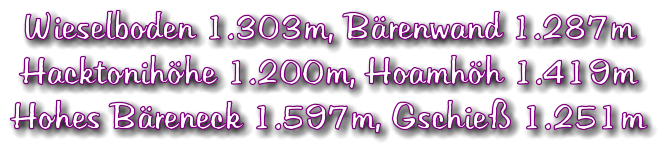 Wieselboden 1.303m, Brenwand 1.287m Hacktonihhe 1.200m, Hoamhh 1.419m Hohes Breneck 1.597m, Gschie 1.251m