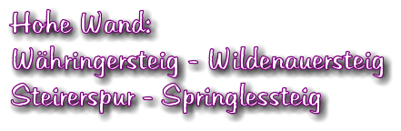 Hohe Wand:  Whringersteig - Wildenauersteig Steirerspur - Springlessteig