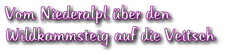 Vom Niederalpl ber den Wildkammsteig auf die Veitsch