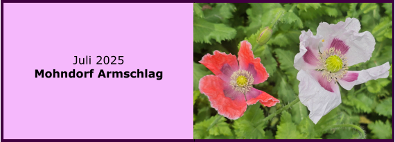 BERICHT  FOLGT BERICHT  FOLGT Ranach 80   Ranach 80   Jnner 2024 Steinbach am Attersee Kienklause Bramhosen 960m Praterstern Keinklause    BERICHT  FOLGT BERICHT  FOLGT Ranach 80   Ranach 80   Juli 2025 Mohndorf Armschlag