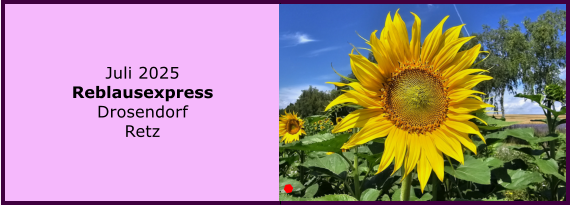 BERICHT  FOLGT BERICHT  FOLGT Ranach 80   Ranach 80   Jnner 2024 Steinbach am Attersee Kienklause Bramhosen 960m Praterstern Keinklause    BERICHT  FOLGT BERICHT  FOLGT Ranach 80   Ranach 80   Juli 2025 Reblausexpress Drosendorf Retz