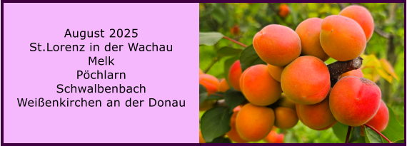 BERICHT  FOLGT BERICHT  FOLGT Ranach 80   Ranach 80   Jnner 2024 Steinbach am Attersee Kienklause Bramhosen 960m Praterstern Keinklause    BERICHT  FOLGT BERICHT  FOLGT Ranach 80   Ranach 80   August 2025 St.Lorenz in der Wachau Melk Pchlarn Schwalbenbach Weienkirchen an der Donau