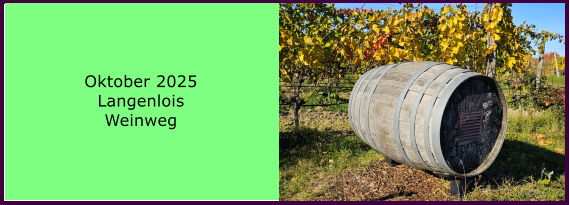 BERICHT  FOLGT BERICHT  FOLGT Ranach 80   Ranach 80   Oktober 2025 Langenlois Weinweg