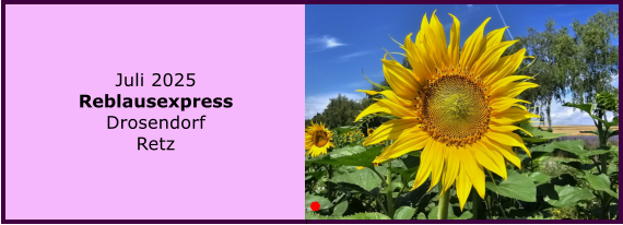 BERICHT  FOLGT BERICHT  FOLGT Ranach 80   Ranach 80   J�nner 2024 Steinbach am Attersee Kienklause Bramhosen 960m Praterstern Keinklause    BERICHT  FOLGT BERICHT  FOLGT Ranach 80   Ranach 80   Juli 2025 Reblausexpress Drosendorf Retz