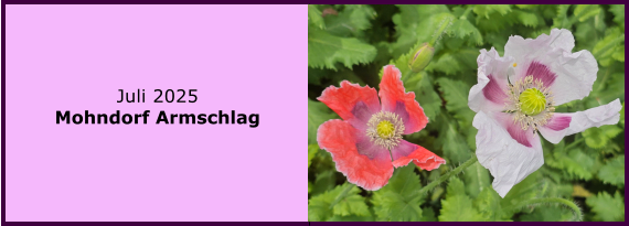BERICHT  FOLGT BERICHT  FOLGT Ranach 80   Ranach 80   Jnner 2024 Steinbach am Attersee Kienklause Bramhosen 960m Praterstern Keinklause    BERICHT  FOLGT BERICHT  FOLGT Ranach 80   Ranach 80   Juli 2025 Mohndorf Armschlag