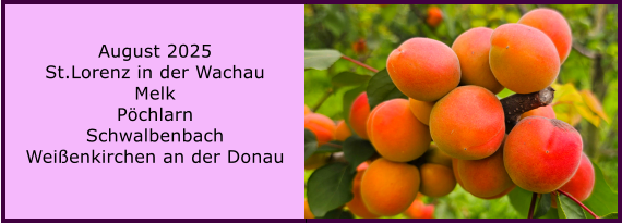 BERICHT  FOLGT BERICHT  FOLGT Ranach 80   Ranach 80   Jnner 2024 Steinbach am Attersee Kienklause Bramhosen 960m Praterstern Keinklause    BERICHT  FOLGT BERICHT  FOLGT Ranach 80   Ranach 80   August 2025 St.Lorenz in der Wachau Melk Pchlarn Schwalbenbach Weienkirchen an der Donau