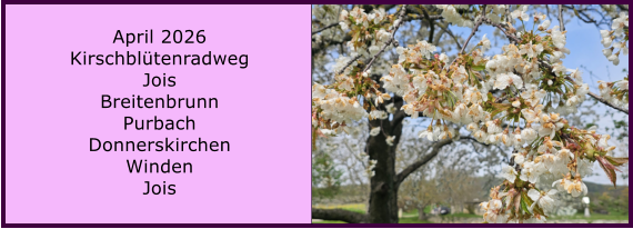 BERICHT  FOLGT April 2026 Kirschbl�tenradweg Jois Breitenbrunn Purbach Donnerskirchen Winden Jois
