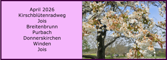 BERICHT  FOLGT April 2026 Kirschbl�tenradweg Jois Breitenbrunn Purbach Donnerskirchen Winden Jois