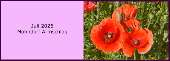 BERICHT  FOLGT BERICHT  FOLGT Ranach 80   Ranach 80   J�nner 2024 Steinbach am Attersee Kienklause Bramhosen 960m Praterstern Keinklause    BERICHT  FOLGT BERICHT  FOLGT Ranach 80   Ranach 80   Juli 2026 Mohndorf Armschlag