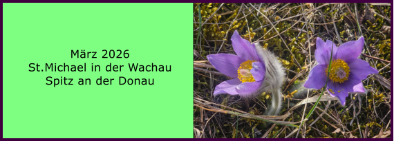 BERICHT  FOLGT M�rz 2026 St.Michael in der Wachau Spitz an der Donau